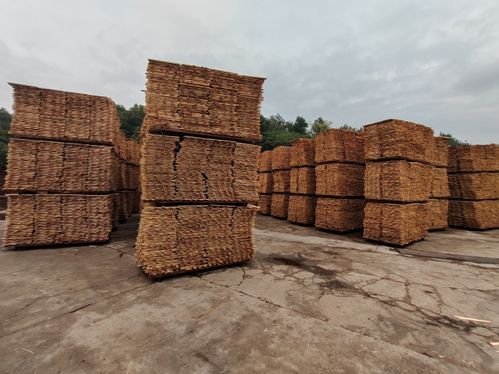 環保新高度 凱瑞象板材18mm大豆膠生態環保板材問世，引領綠色建材革新