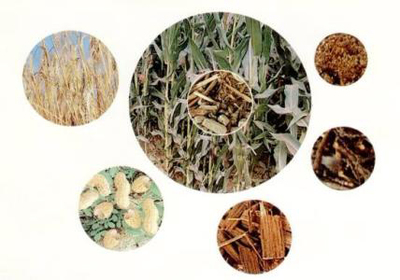 清潔可再生能源與生態(tài)環(huán)境材料 構(gòu)筑綠色未來(lái)的雙翼